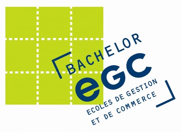 Préparation aux écoles de commerce post-bac - concours ECG