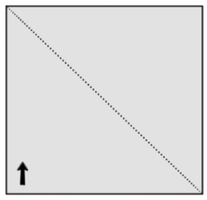 concours vétérianaire postbac atelier vision spatiale QUIZ question 1