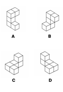 concours vétérinaire postbac QUIZ atelier vision spatiale question 2
