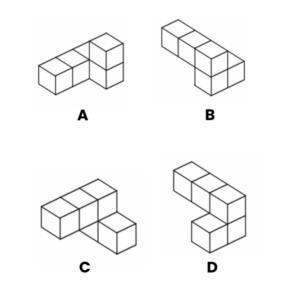 concours vétérinaire postbac QUIZ atelier vision spatiale question 5