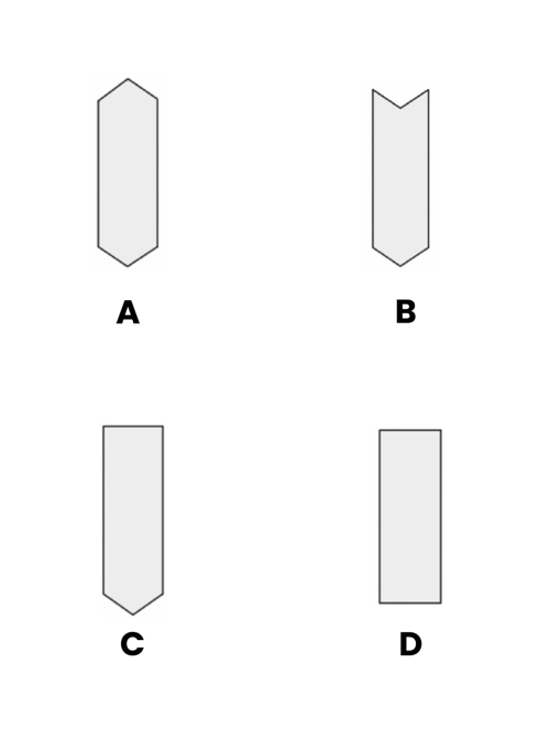 concours vétérinaire postbac QUIZ atelier vision spatiale question 7