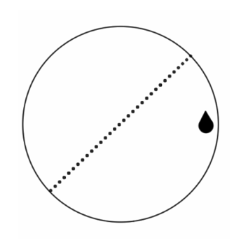 concours vétérinaire postbac QUIZ atelier vision spatiale question 10
