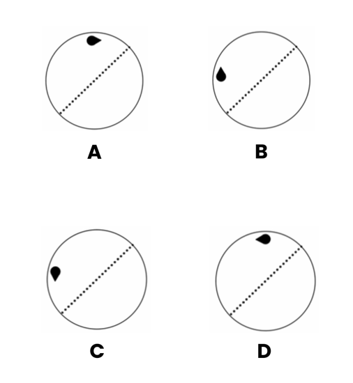 concours vétérinaire postbac QUIZ atelier vision spatiale question 10