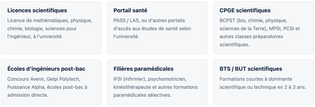Débouchés après la RNS