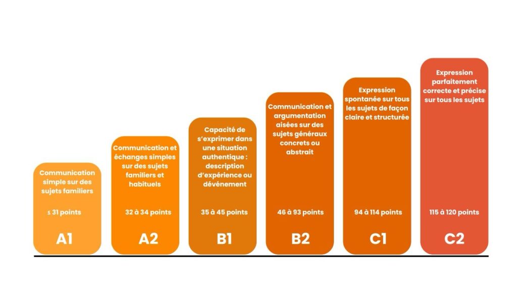 Progressez rapidement au TOEFL avec nos cours et stages de préparation.