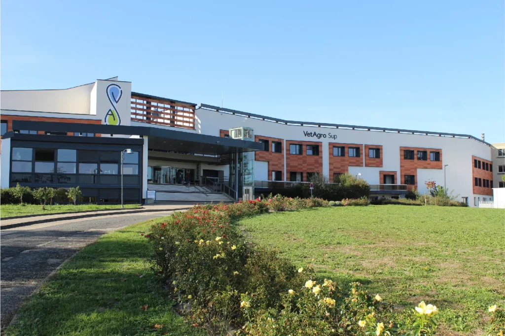 VetAgro Sup : tout savoir sur l'école vétérinaire - PrepVétoAgro
